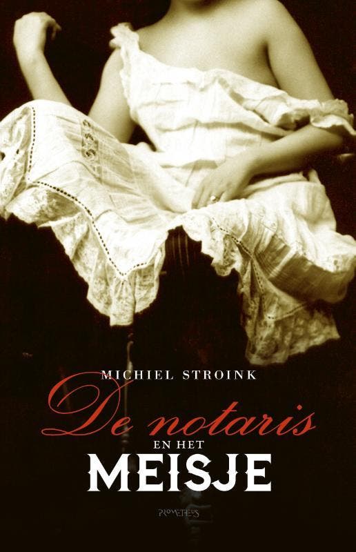 De notaris en het meisje 9789044633641 Michiel Stroink, Boeken, Romans, Gelezen, Verzenden