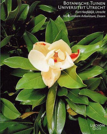Botanische Tuinen Universiteit Utrecht / Ludion Gids M. Baas, Boeken, Verzenden, Zo goed als nieuw, M. Baas