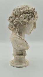sculptuur, Busto di Antinoo - 27 cm - marmerstof