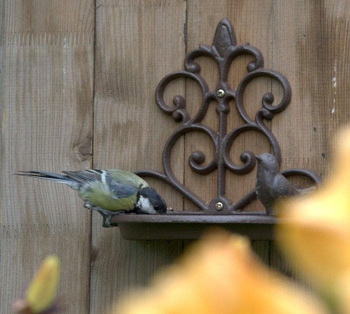 Vogelbad - Gietijzer - voederhuisje voor vogels, Antiquités & Art, Curiosités & Brocante