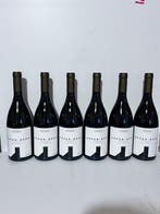 2023 Colterenzio-Schreckbichl Eppan-Berg Pinot Bianco - Alto, Nieuw