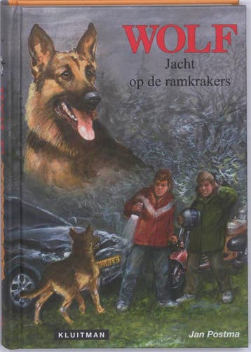 Jacht op de ramkrakers / Wolf Study Guide 9789020625837, Verzenden, Gelezen, Jan Postma