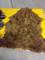 Mouton Support de corps entier pour taxidermie - Pecora - 65