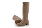 Cellini Laarzen in maat 40 Overig, Kleding | Dames, Schoenen, Hoge laarzen, Overige kleuren, Verzenden, Cellini