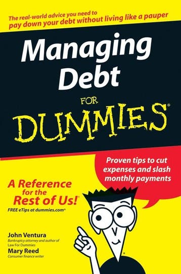 Managing Debt For Dummies 9780470084861 Mary Reed, Verzenden, Zo goed als nieuw, Mary Reed