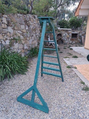 Marches - Bois - Échelle vintage verger
