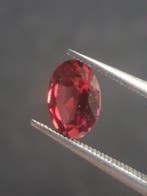Natural Red Garnet - Rhodolite - 0.810 ct - oval - unheated-, Verzenden