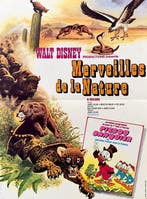 Walt Disney - Merveilles de la Nature – Scrooge McDuck -