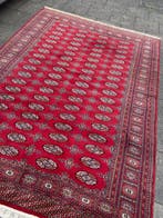 Afghan - Tapis - 265 cm - 190 cm, Nieuw