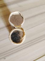 Italië. Lotto 2 Rotolini 50 Lire 1980/1988 (Zonder