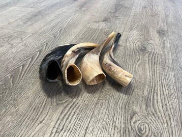 Antiek Judaica (4) - Hoorn - 4 kleine shofars