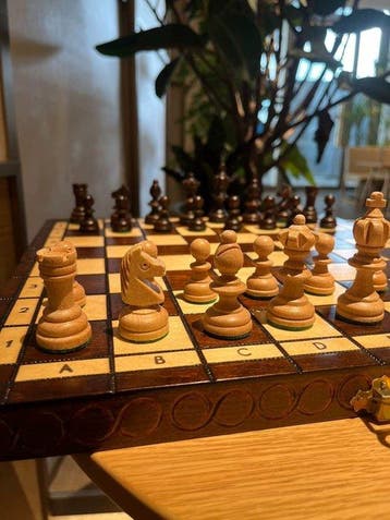 Bordspel - Chess - Hout