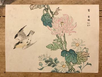 Afbeelding van een chrysant (, Kiku) en een grote gele