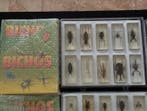 Collectie met dierenthema