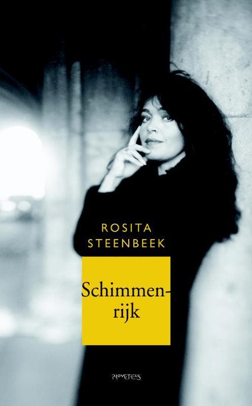 Schimmenrijk 9789044615913 Rosita Steenbeek, Livres, Romans, Envoi