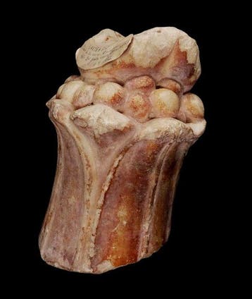 Fenicisch - Uitzonderlijke marmeren pilaar - Paleis van
