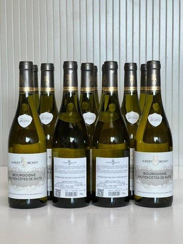 2020 Hautes-Côtes de Nuits, Albert Bichot - Bourgogne - 12