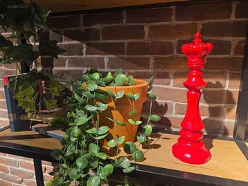 decoratie en pvc planten, Nieuw in verpakking