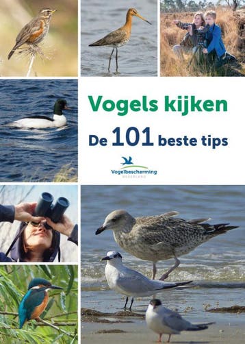 Vogels kijken 9789021573595 Ger Meesters, Verzenden, Ger Meesters