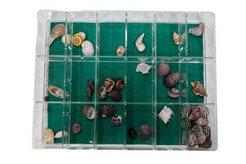 Hele zee-werelden in miniatuurformaat: veelzijdige