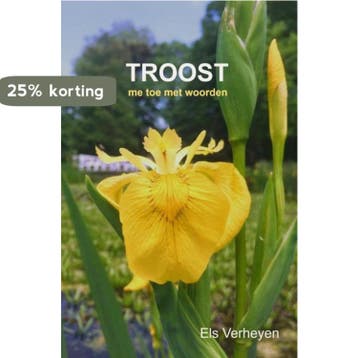 Troost 9789464057249 Els Verheyen, Verzenden, Els Verheyen