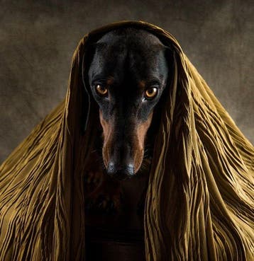 Heike Willers - “Golden Eyes”.