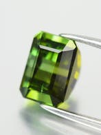 Sans prix de réserve - 1 pcs Vert, Jaune Tourmaline - 2.25, Nieuw