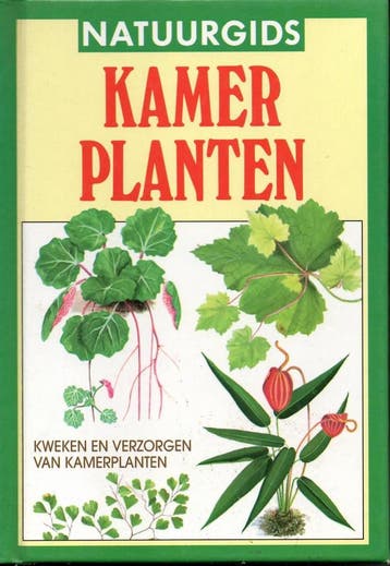 KAMERPLANTEN - KWEKEN EN VERZORGEN VAN KAMERPLANTEN /, Boeken, Verzenden, Zo goed als nieuw, ROSE HENRY