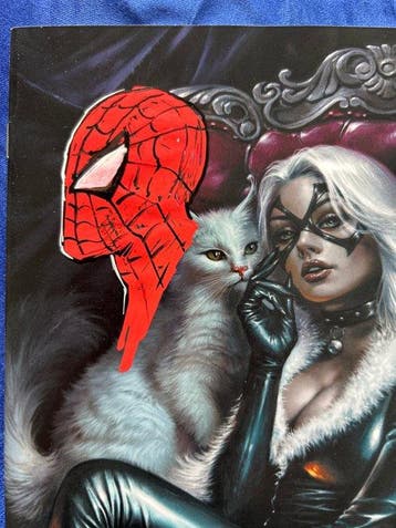 Black Cat #1 - 1 Variant cover, Signed comic, Commission, Boeken, Strips | Comics, Nieuw