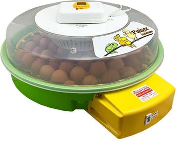 Puisor broedmachine 51 eieren + gratis broedeieren, Dieren en Toebehoren, Verzenden, Nieuw, Broedmachine
