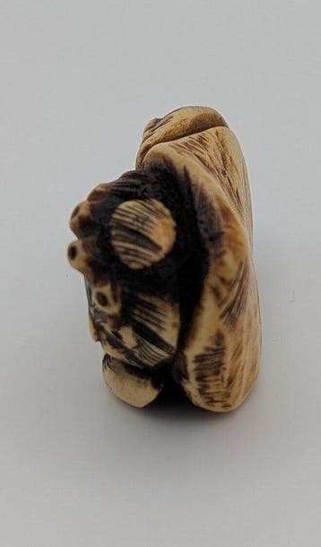 Schelpen Netsuke - Been - Japan - Meiji periode (1868-1912)