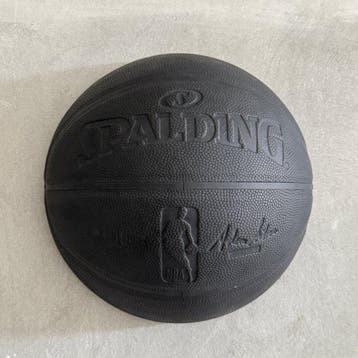 Mitch Richmond (1983) - Slam Dunk Through The Wall (Wall