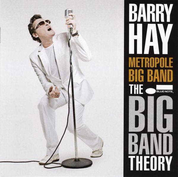 Barry Hay / Metropole Big Band - The Big Band Theory, Cd's en Dvd's, Cd's | Pop, Gebruikt, Verzenden