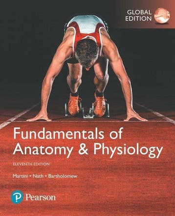 Fundamentals of Anatomy & Physiology, Global Edition, Boeken, Verzenden, Zo goed als nieuw, Martini Frederic