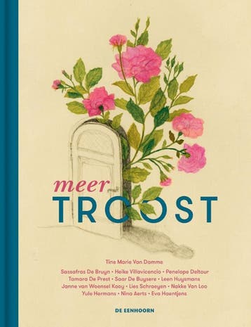 Meer Troost | Nieuw, Verzenden, Nieuw, Tine Marie Damme; Dominique Malder; Dirk Terryn
