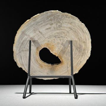 Prachtige snede van versteend hout op een op maat gemaakte