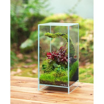 DOOA Neo Glass AIR, Dieren en Toebehoren, Verzenden, Nieuw