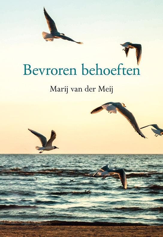 Bevroren behoeften 9789463652865 Marij van der Meij, Livres, Romans, Envoi