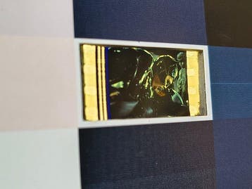 Tom L. (1983) - #The Dark Knight Keaton 35mm | Analog Pixel