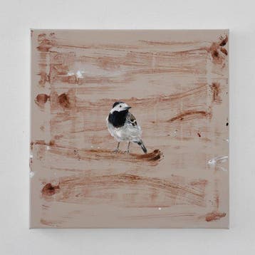 Matthieu van Riel - Witte kwikstaart, Antiek en Kunst