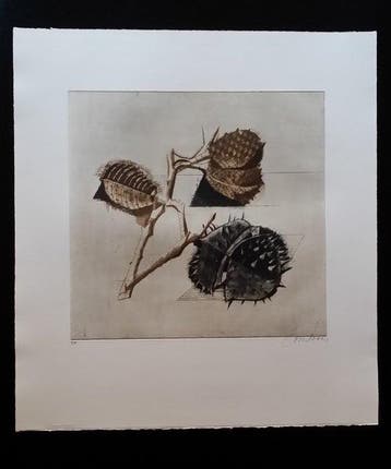 Brigitte Coudrain (1934) - Blason