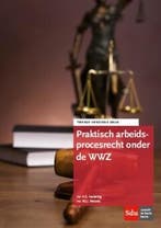 Praktisch arbeidsprocesrecht onder de WWZ 9789012401487, Boeken, Verzenden, Zo goed als nieuw, W.J.J. Wetzels