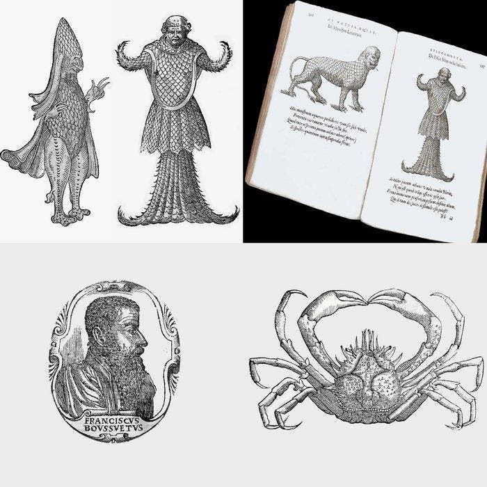 François Boussuet after Guillaume Rondelet - De Natura, Antiquités & Art, Antiquités | Livres & Manuscrits