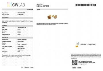 Zonder minimumprijs - Oorbellen - 14 karaat Geel goud -, Handtassen en Accessoires, Oorbellen, Nieuw