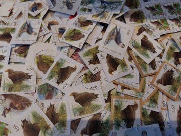 België - André Buzin - Zeer mooie verzameling van 20.000, Gestempeld