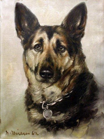 Andrea Hillen (Listed) - Portrait of German shepherd dog