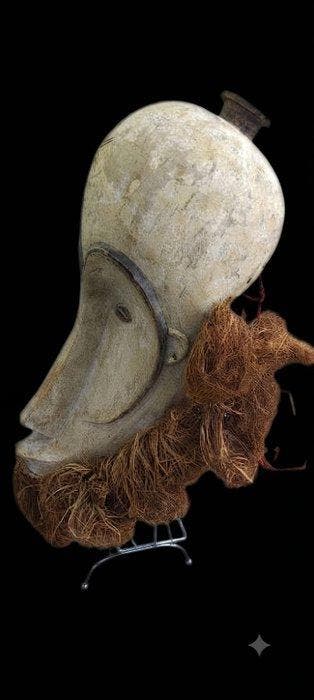 Prachtige Fang-helm - ngil - Giftand - Gabon (Zonder