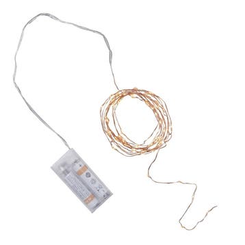 Lichtslinger LED Rose Gouden Led Lampjes 3m, Verzenden