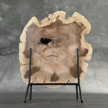 Prachtige plak versteend hout op een op maat gemaakte