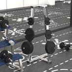 vidaXL Halterschijf 40 kg gietijzer, Verzenden